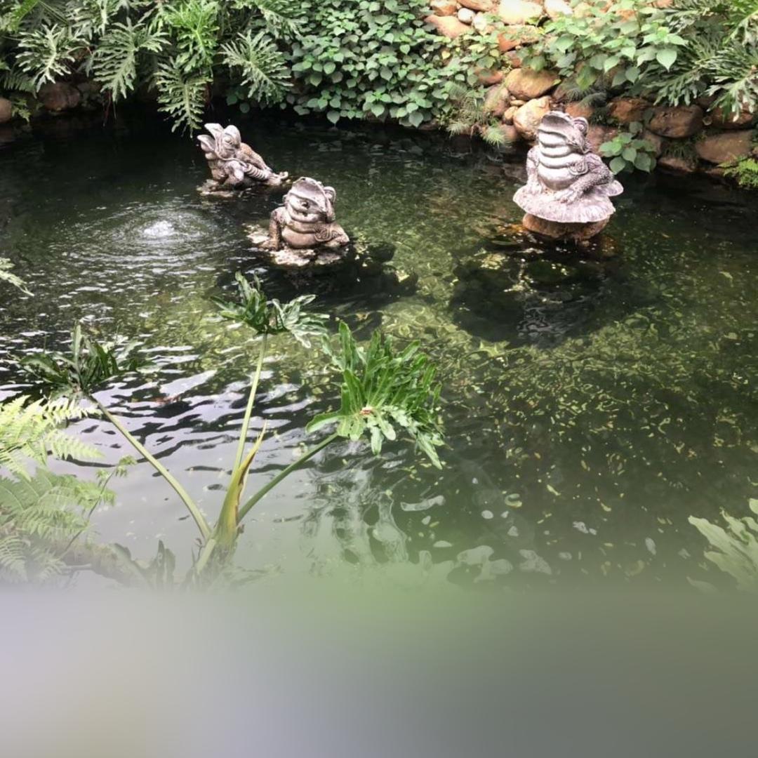 发达璐