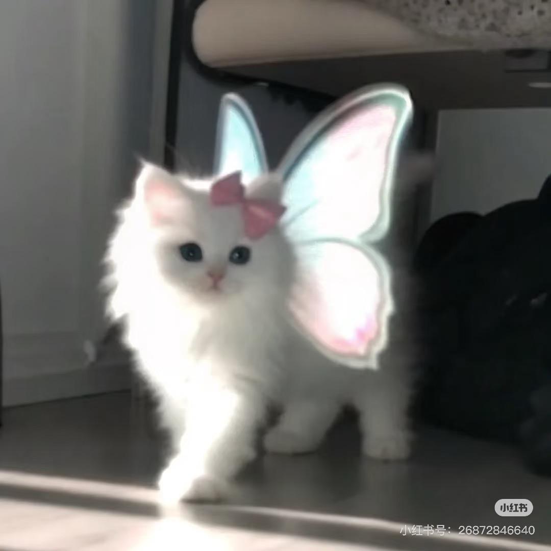 🌟