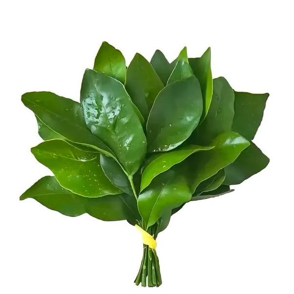 小小温