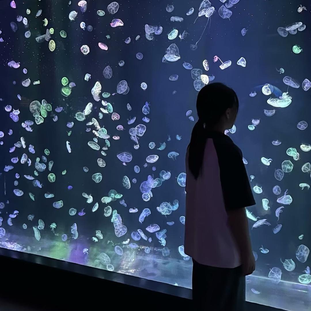 洲洲麻麻