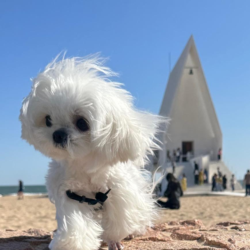 小林的真爱粉🌲