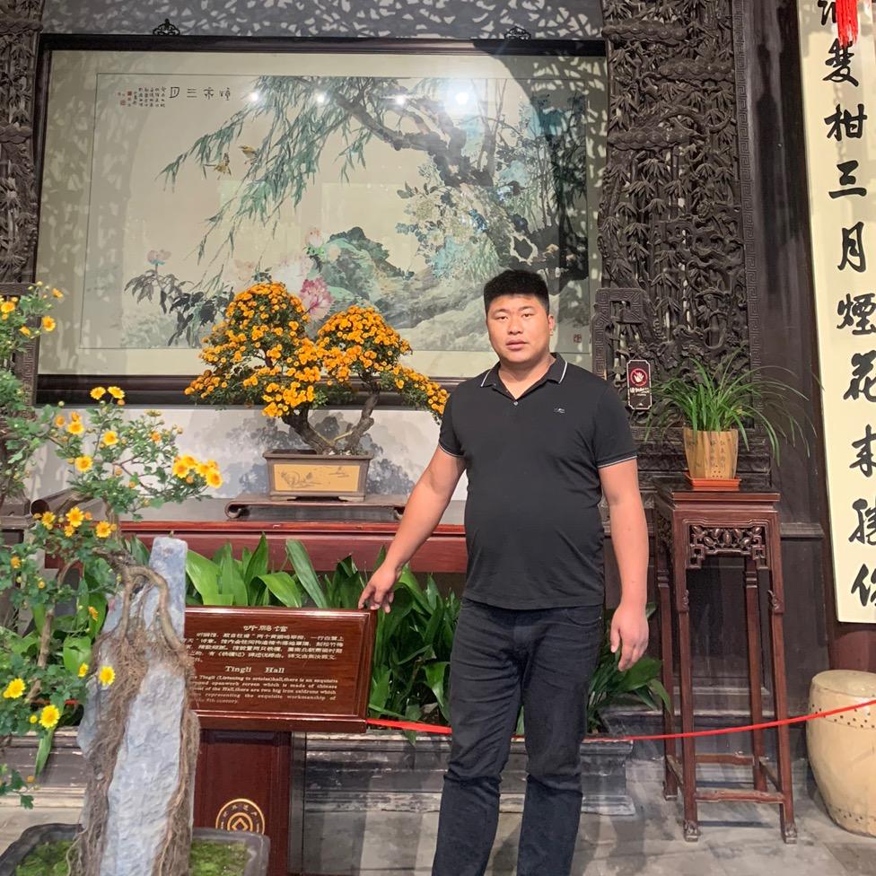 中安新金典（精致保养）