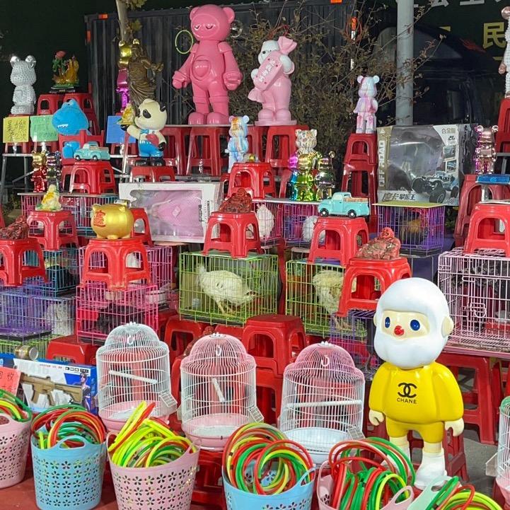 郑州套圈小阿龙