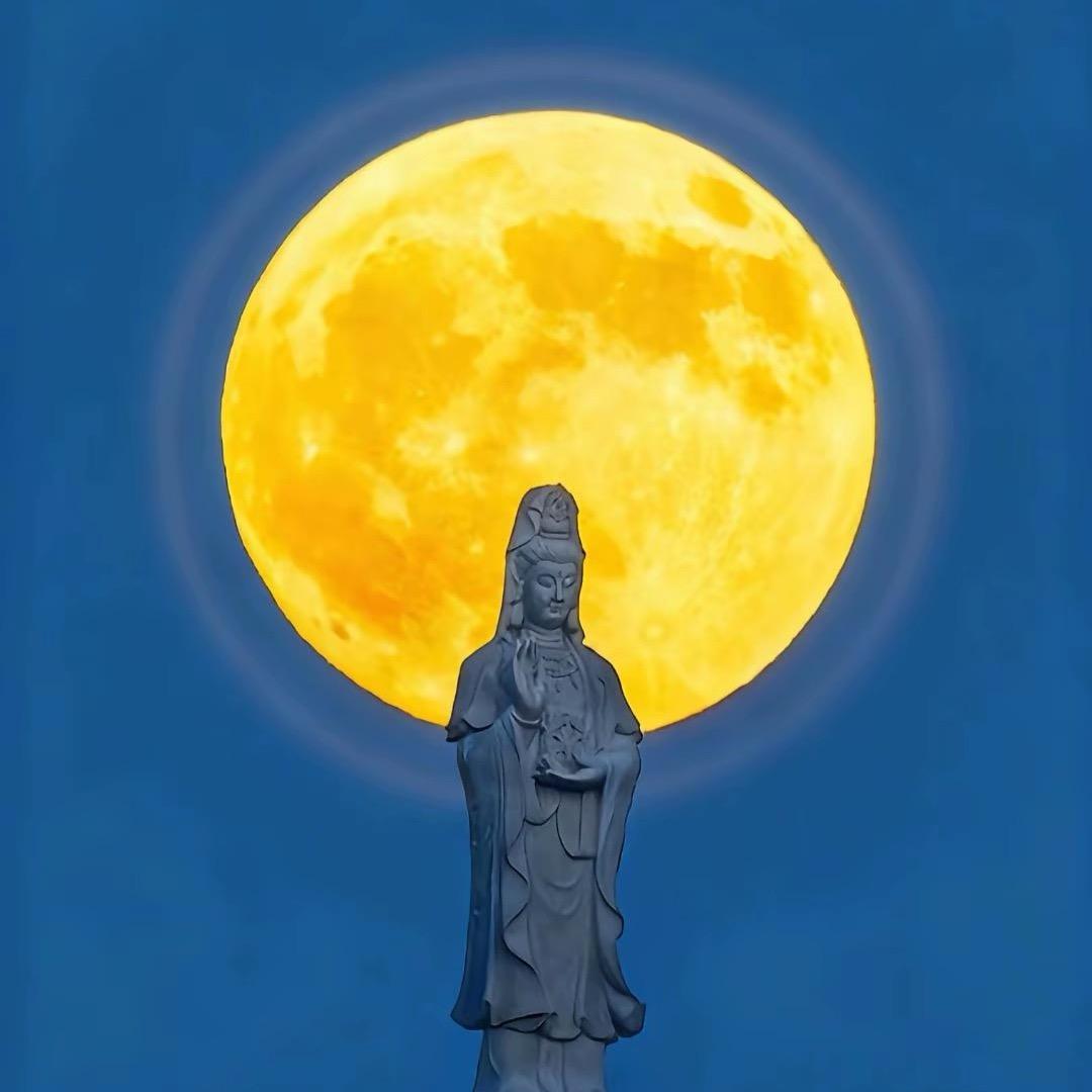 无为而为无为ᥫᩣ¹²²⁹