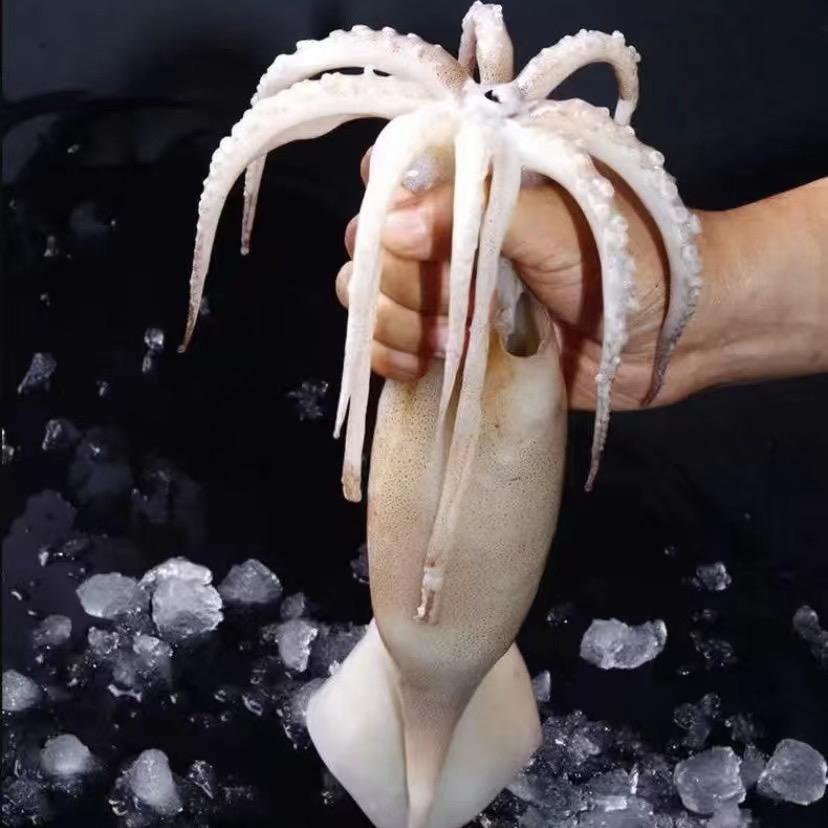 小涛海鲜铺