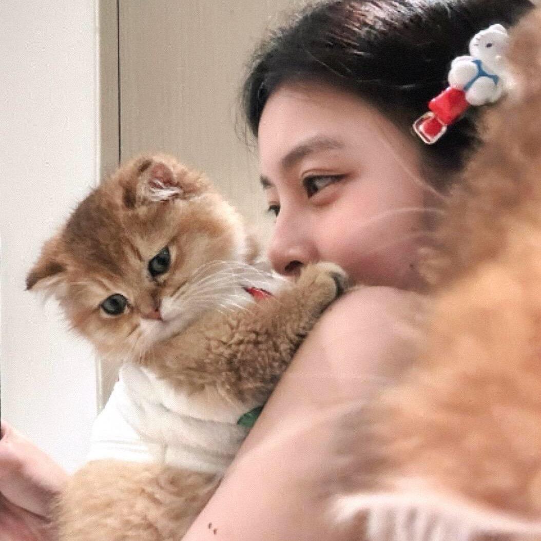 小富熊