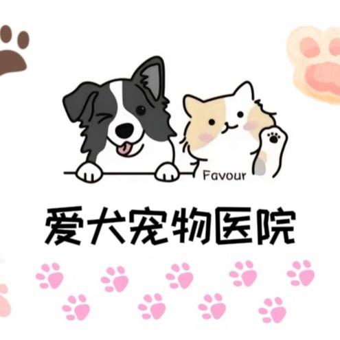 爱犬宠物医院（胡家庙店）