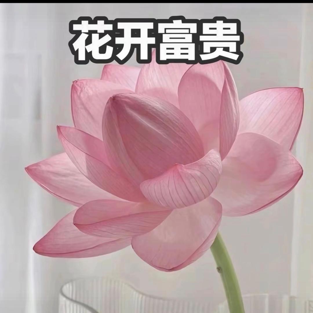 齐鲁生鲜果蔬