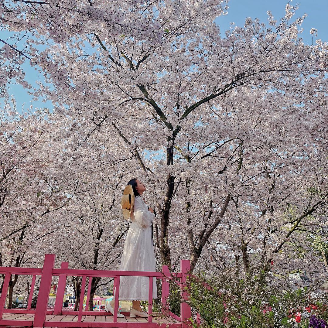 成都卖花姑娘熊熊