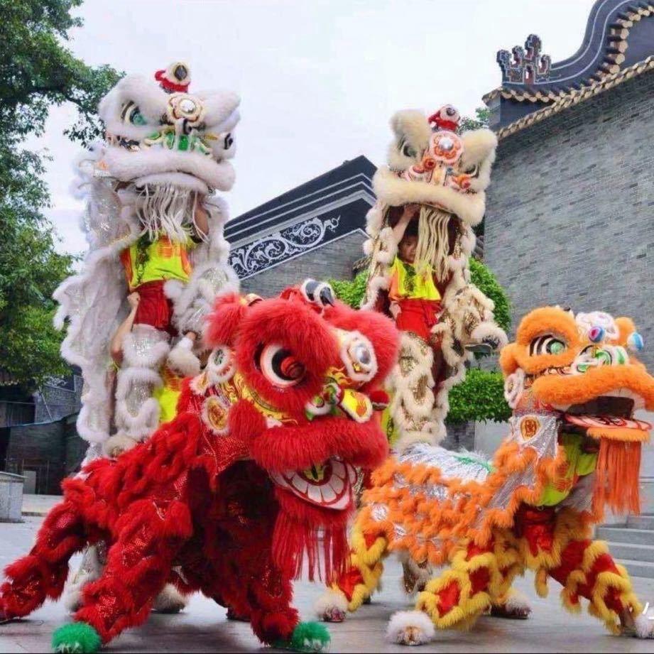 潍坊久久舞狮演绎（招学员）