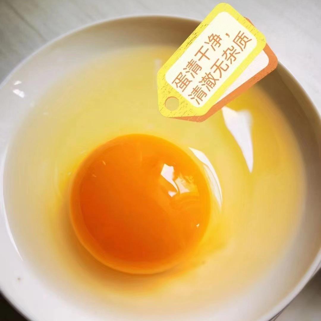 郑州柴鸡蛋（批发、团购）