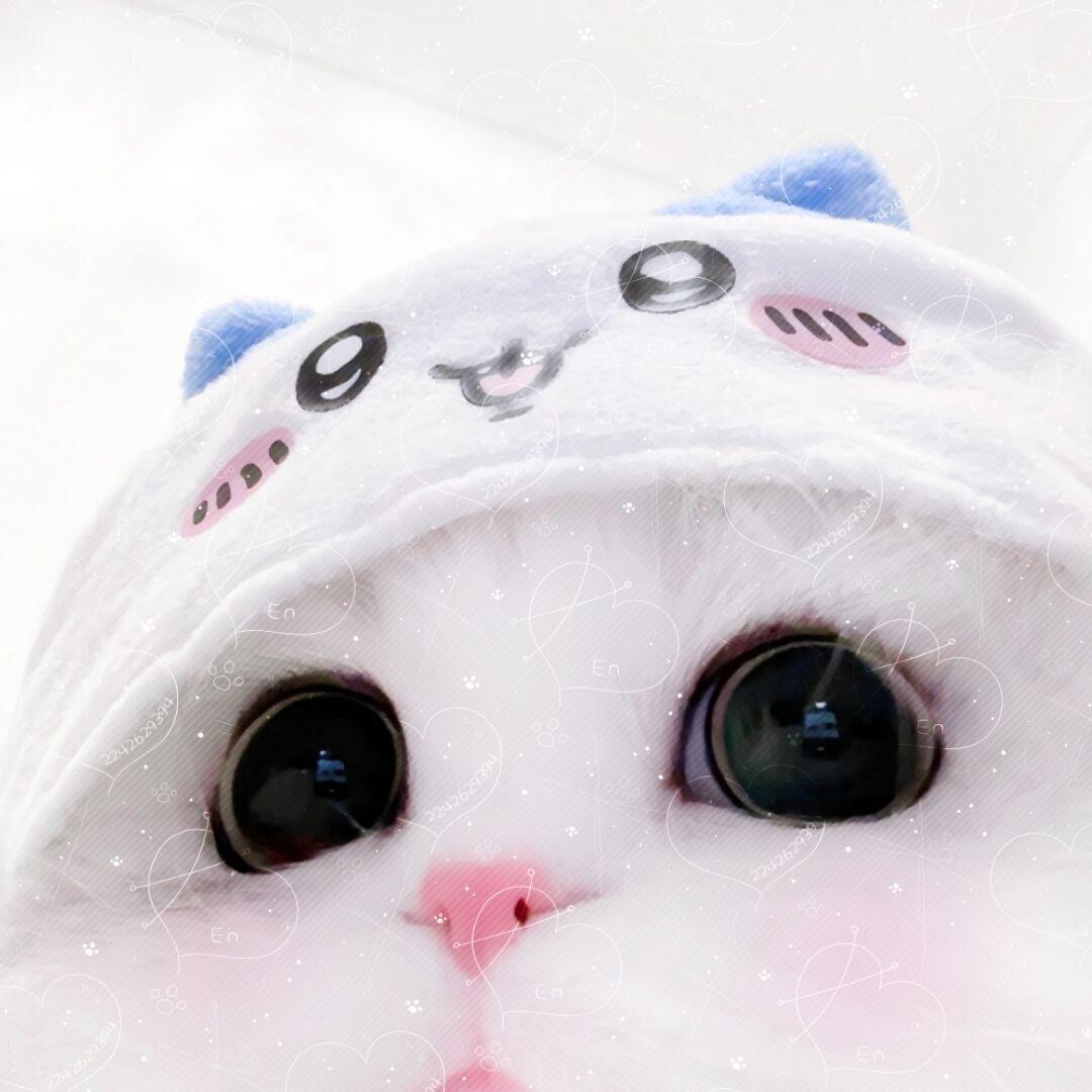 全世界我最宅