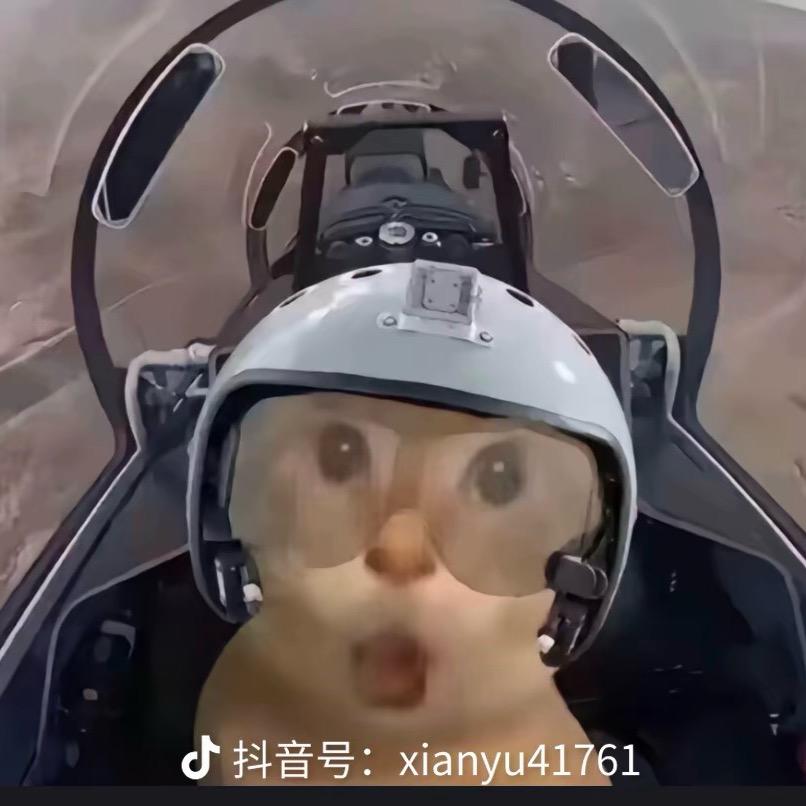 这个不错也给我来点呗