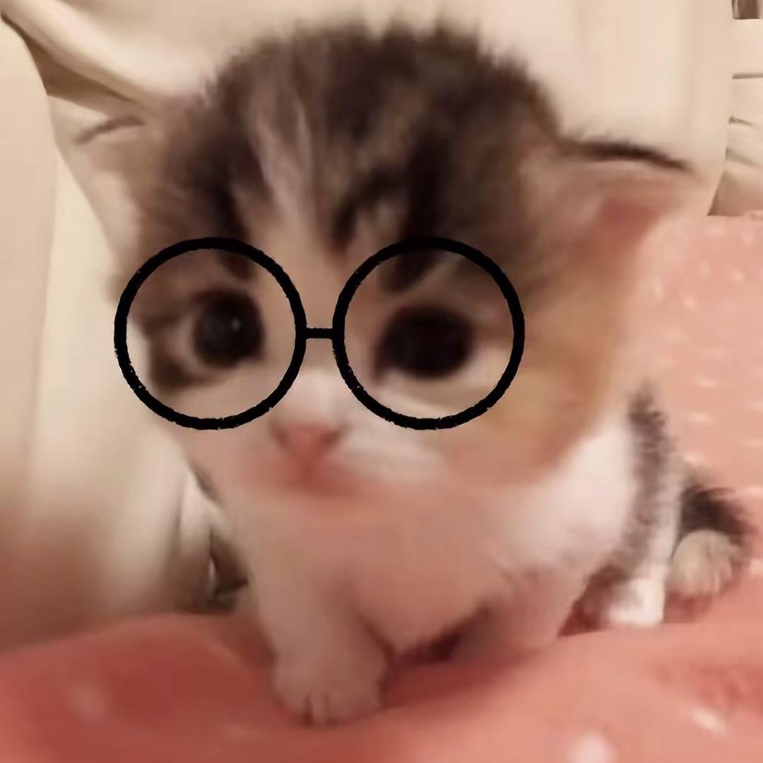 猪肝