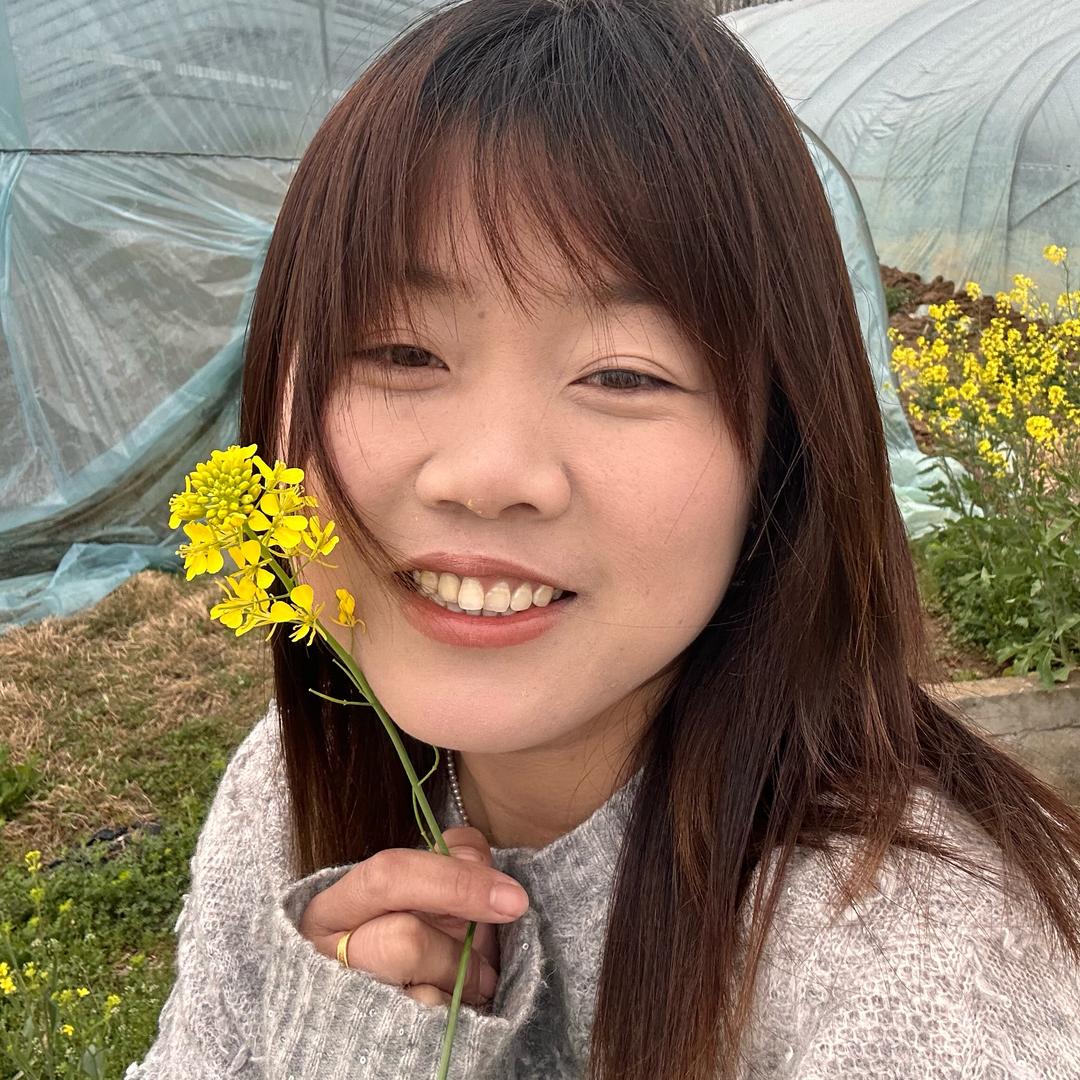 乡村程程