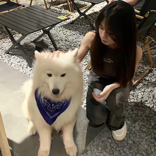 柏林的雾