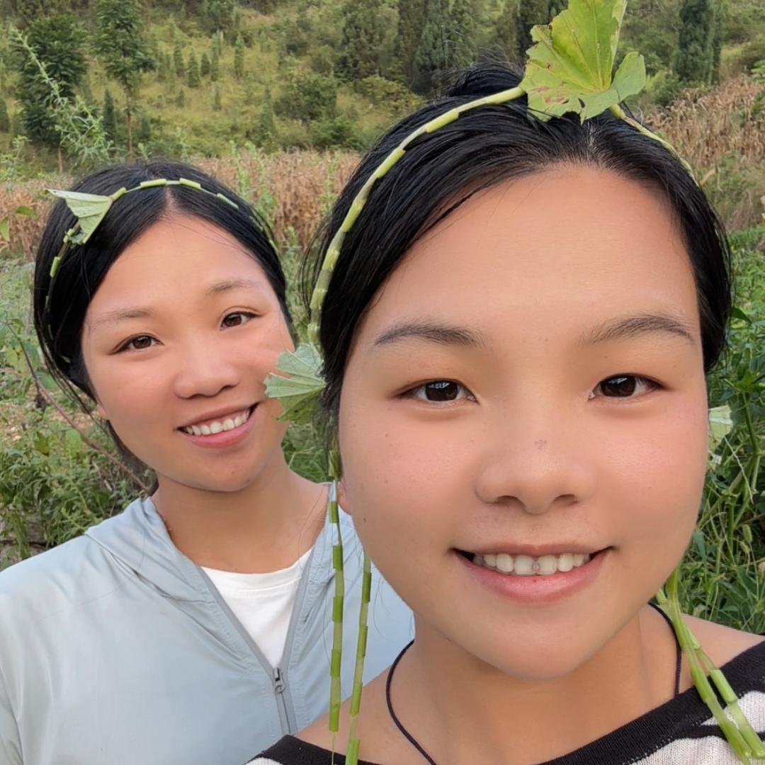 燕子的二妹