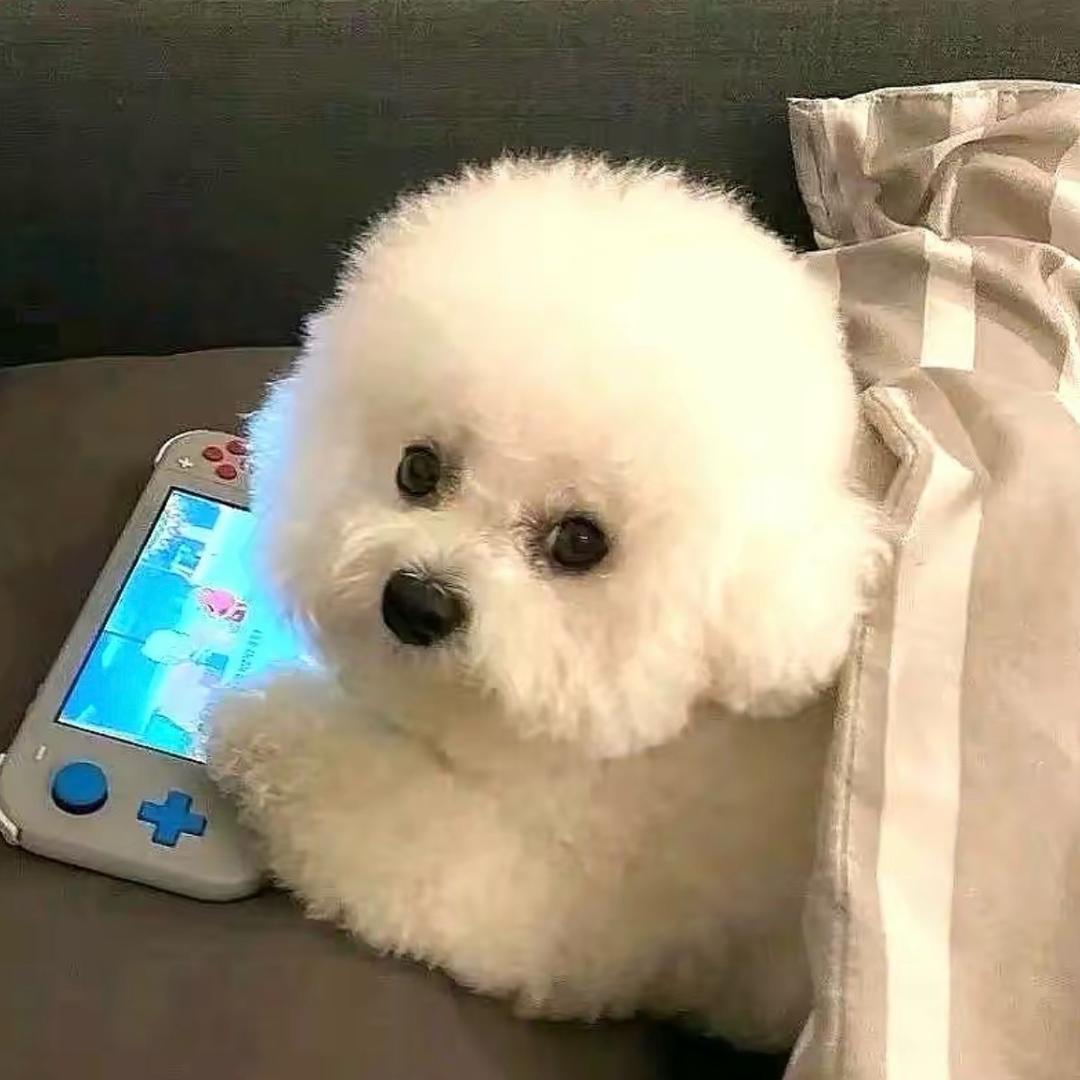 睡醒就得噜噜脸