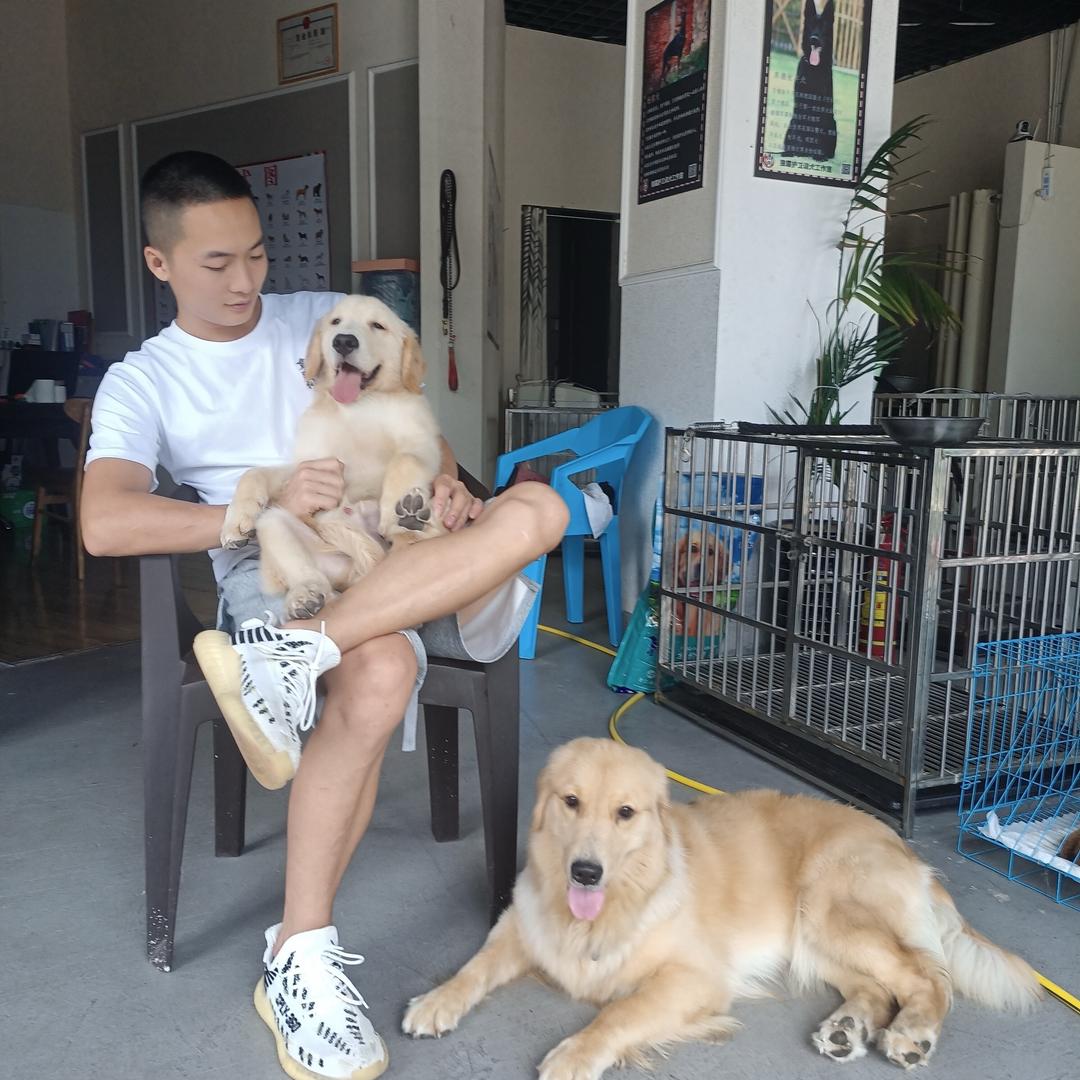 谭洪训犬（宠物甄选）