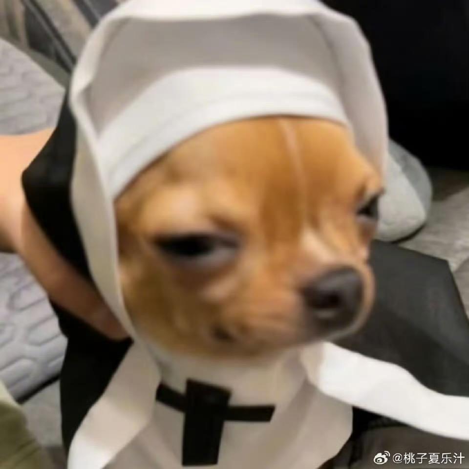 •楊