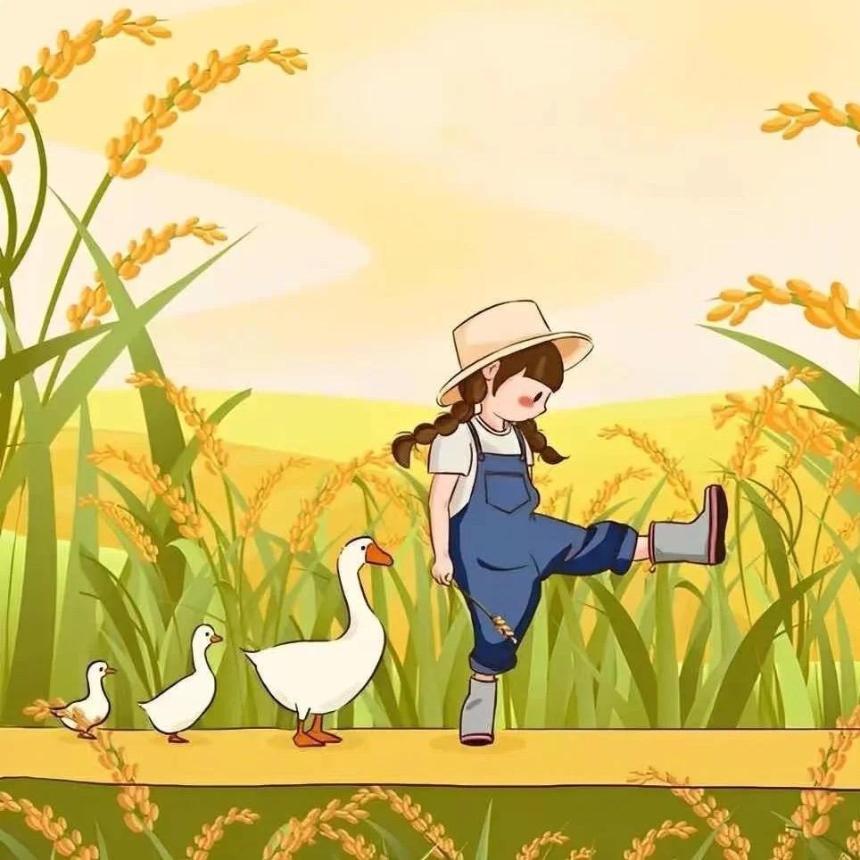 小学生糖糖