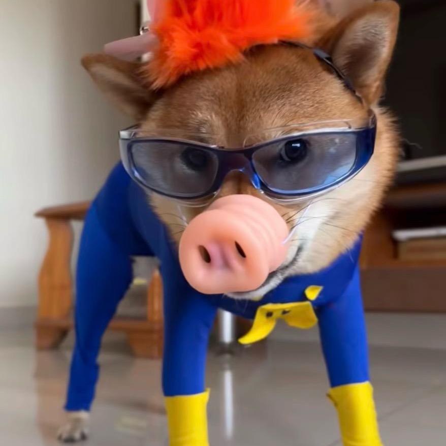 PP