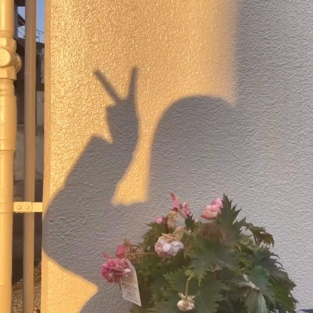 逗比
