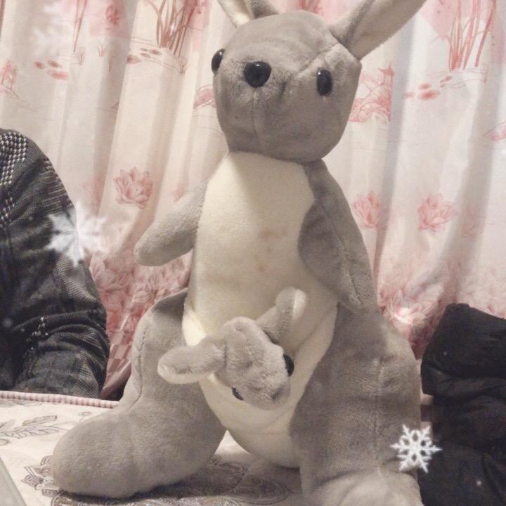 忽云