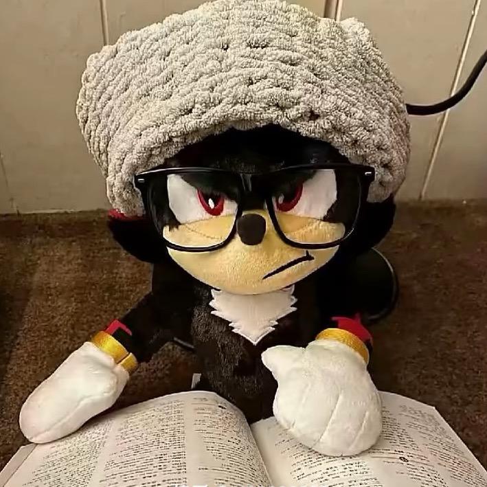 囊囊