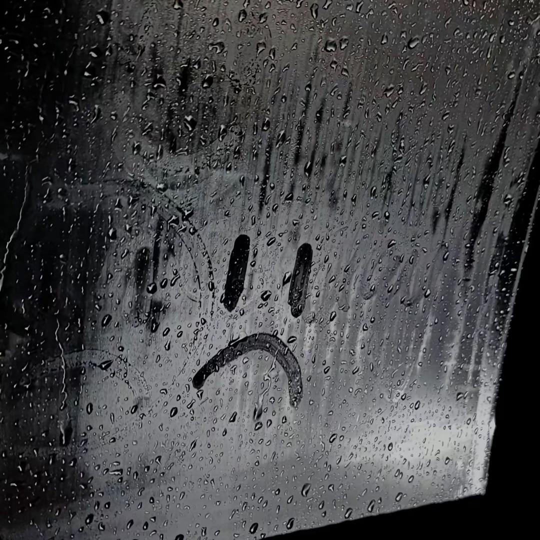 剁了也不给你•