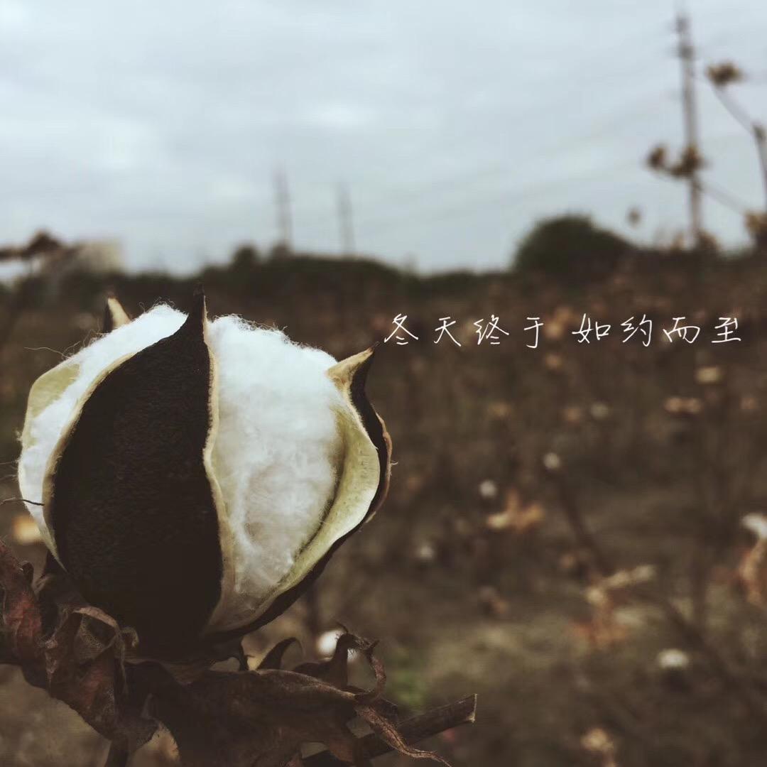 幂