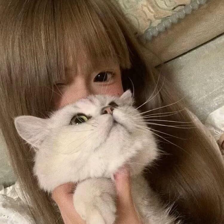 ^🐰源牌yujin酱🐾^