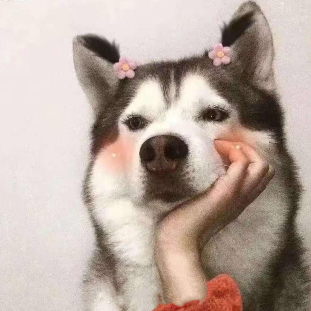 白露💦