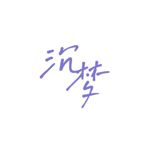 沉梦极光科技