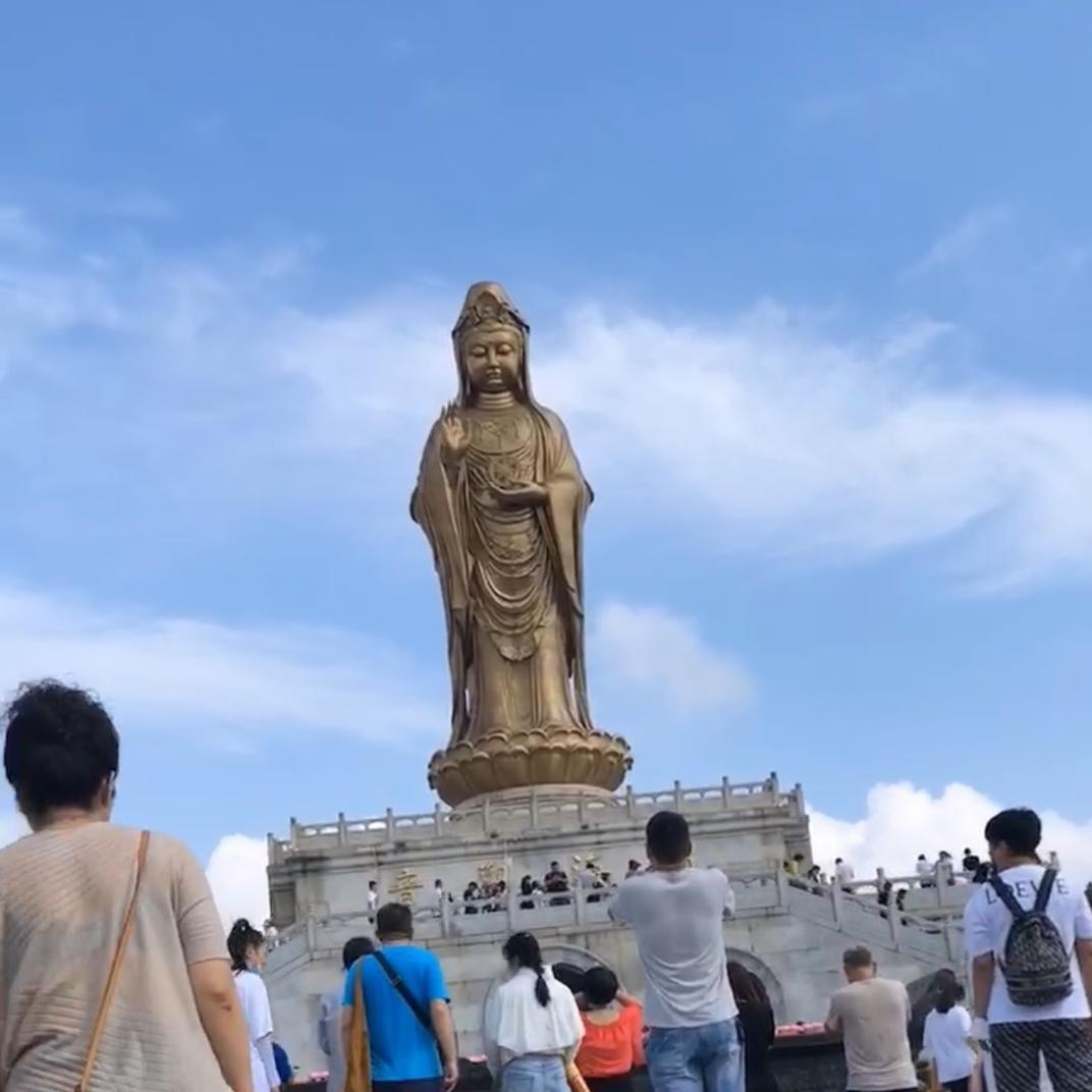 佛灵子8