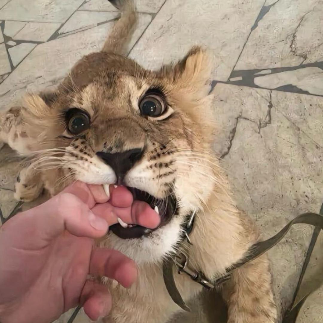 ￴￴ ￴￴ ￴￴ ￴