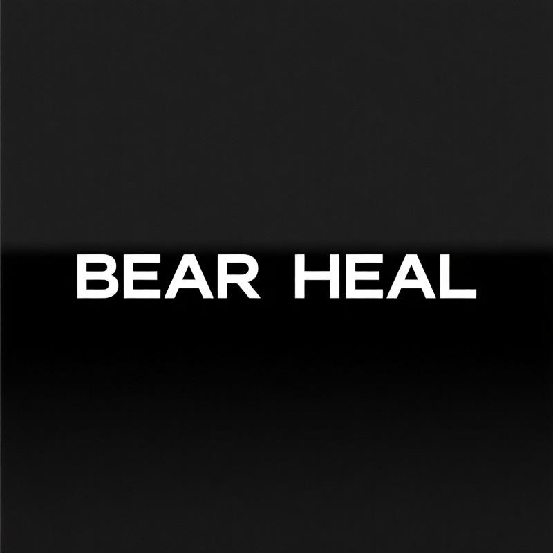 BEAR HEAL服饰旗舰店