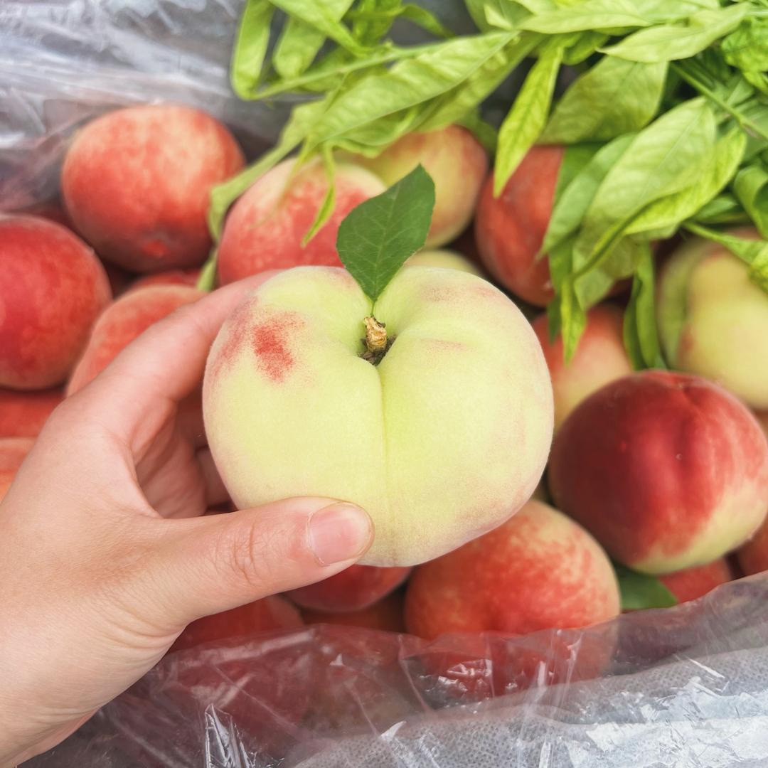 @荔枝de 桃子🍑