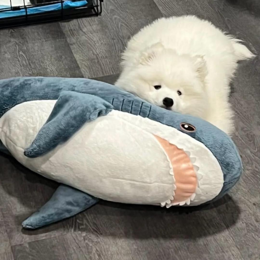 U.