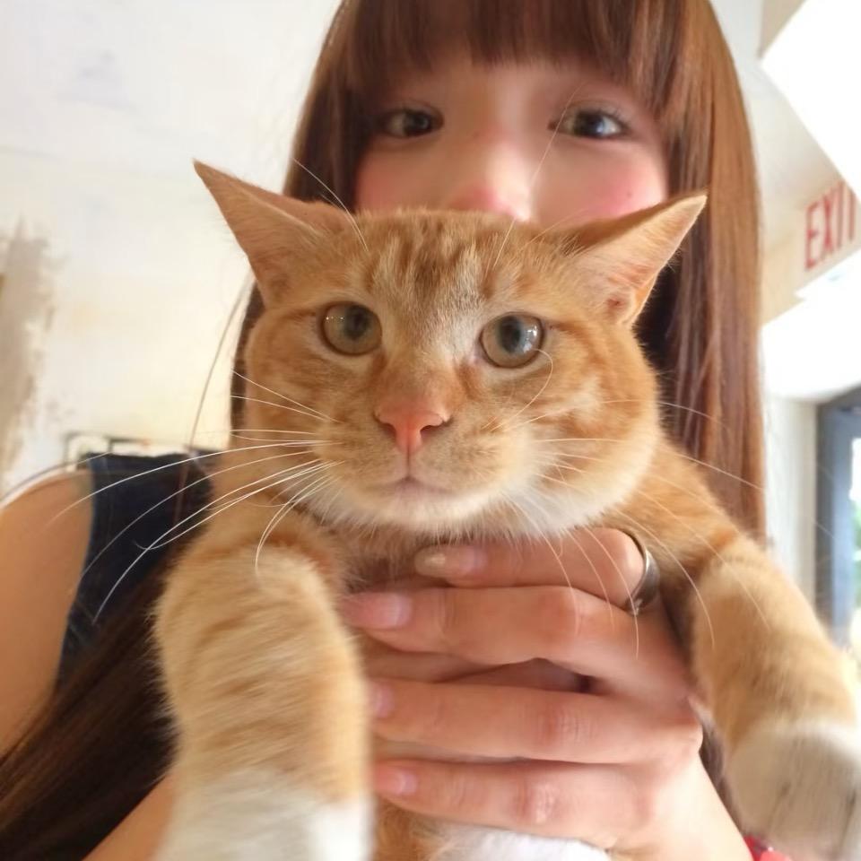 别说那些没用的
