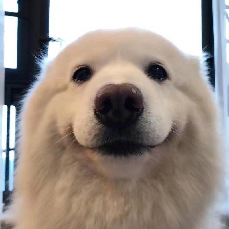 廿四粒