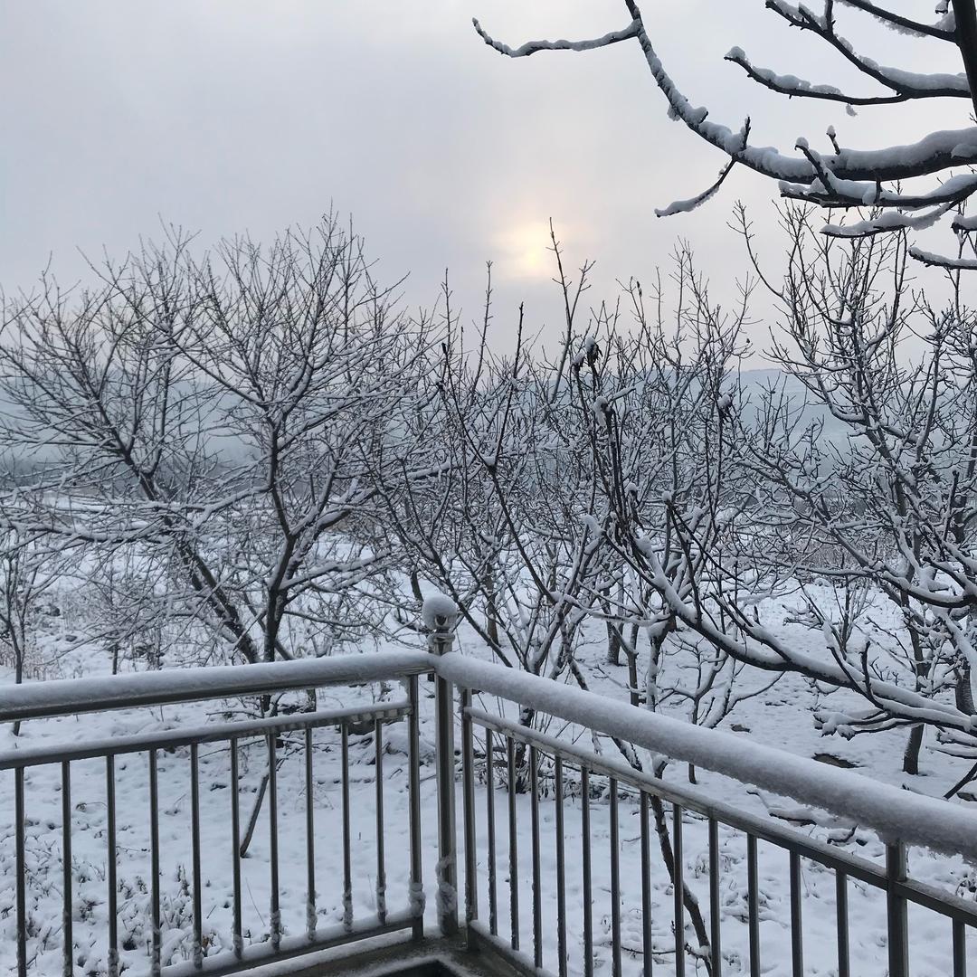 未来不低头，余生不将就