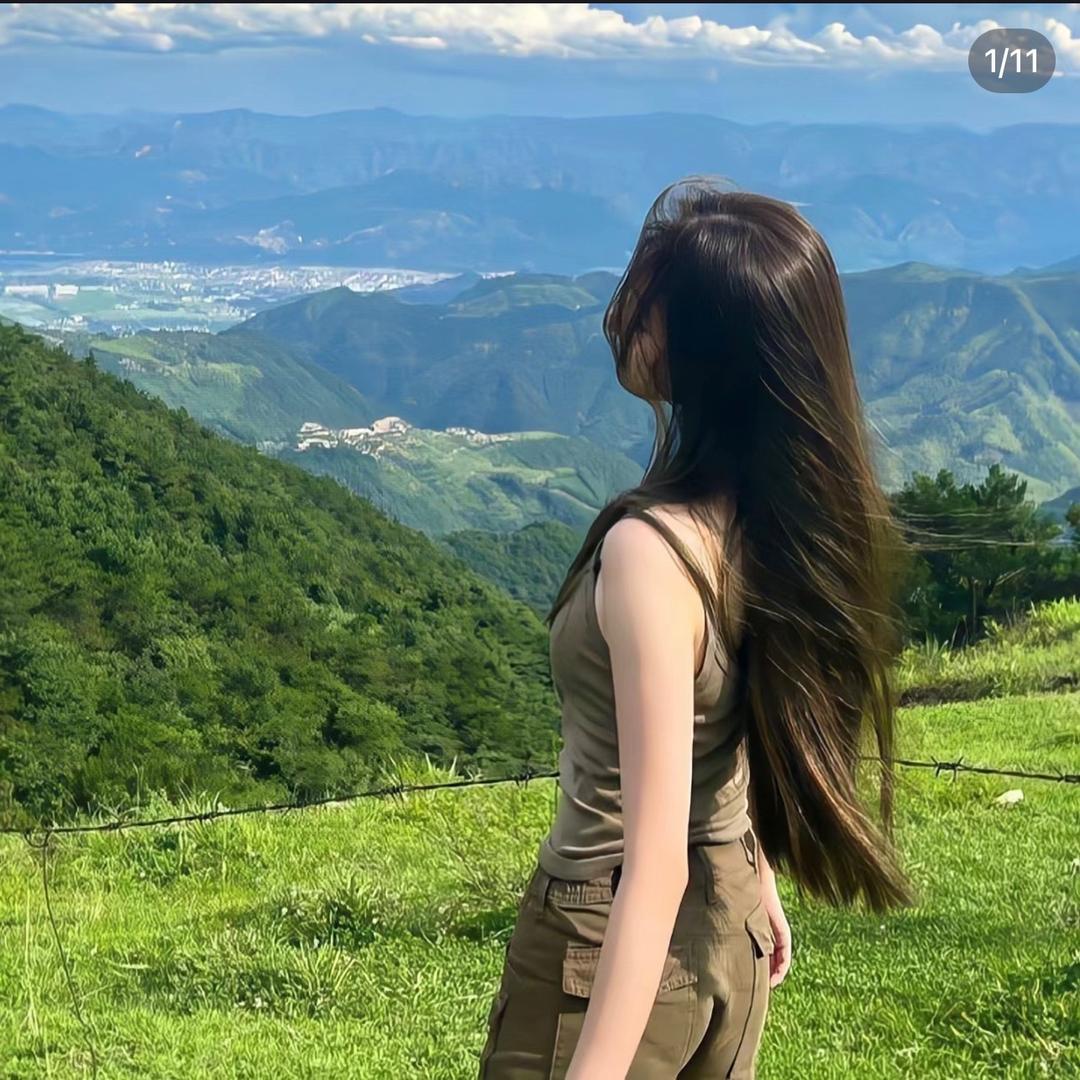 小燕子19