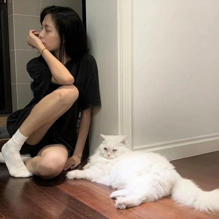 嬛嬛
