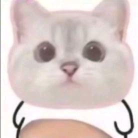 盐豆王子