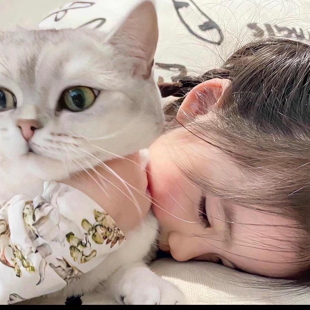 呆 妹 妹