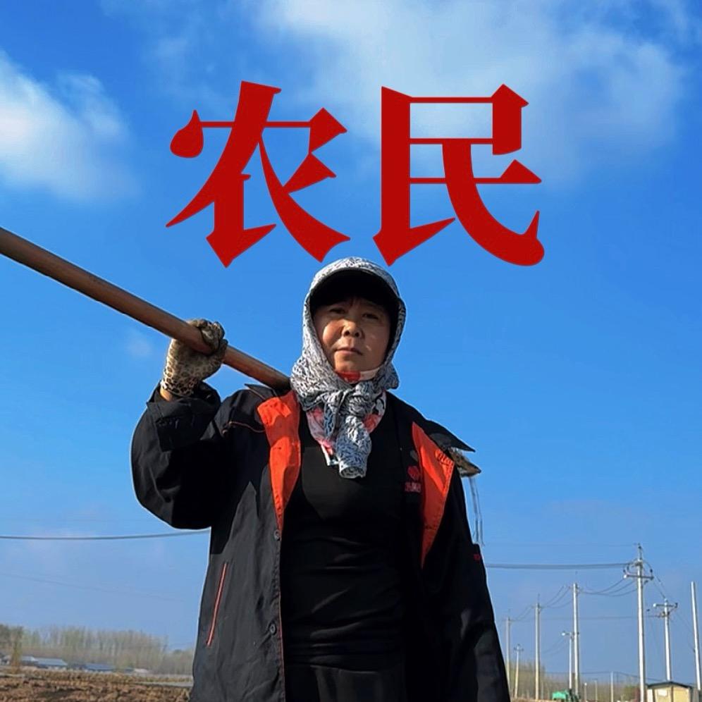 东北超妈妈