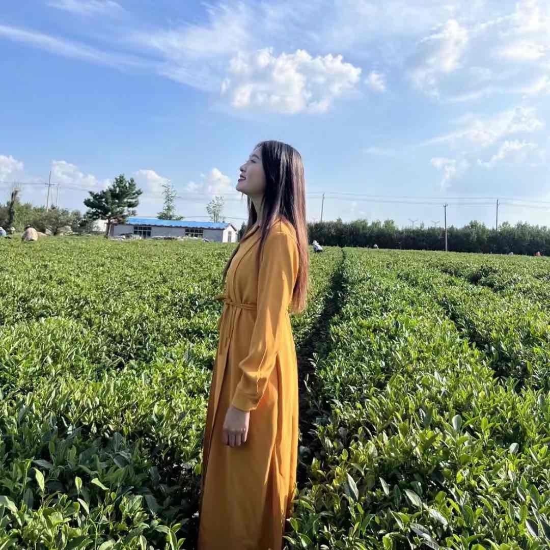 日照绿茶福香来