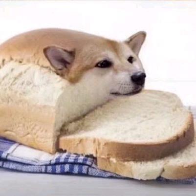 大饼