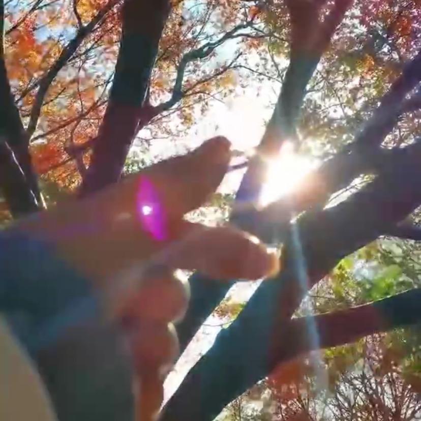 丰县新城花园粮掌门把子肉